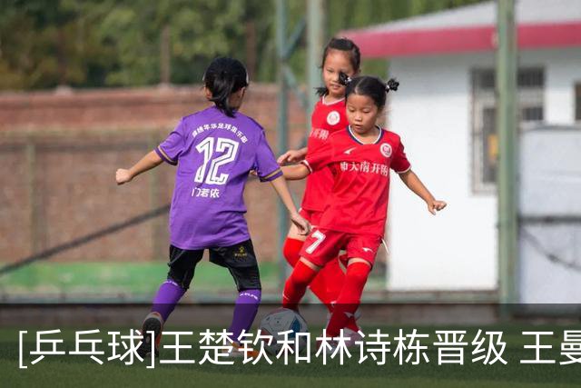 [乒乓球]王楚钦和林诗栋晋级 王曼昱止步女单32强